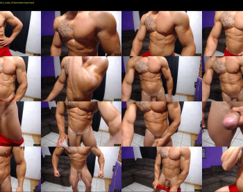 bestmuscle
