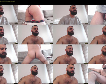djefri_bear