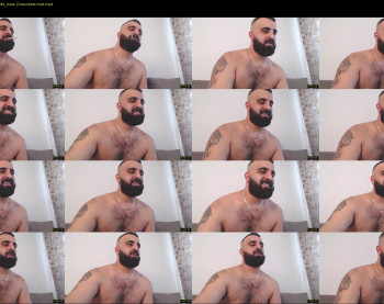 djefri_bear