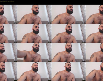 djefri_bear