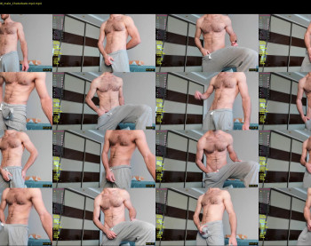 hot_bear_