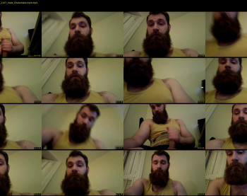 alphaman174