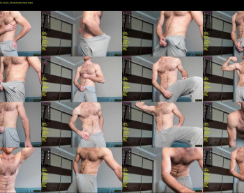 hot_bear_