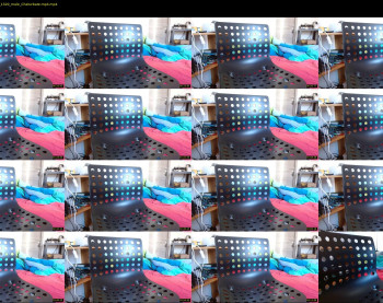 jestersquid89