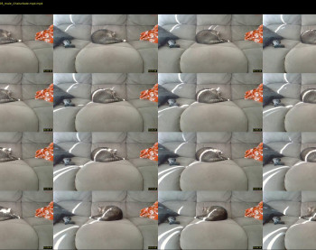 jmillens87