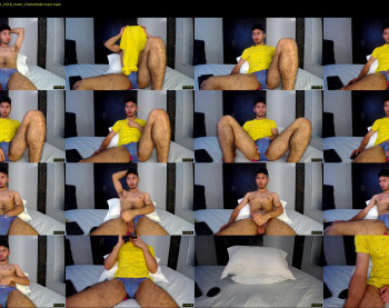 leonardo_vega