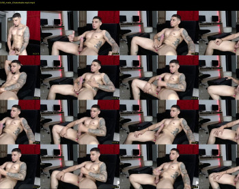 stephalverto