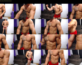 bestmuscle