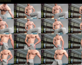 hot_bear_