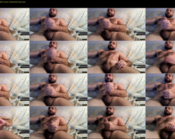wolfdudefun