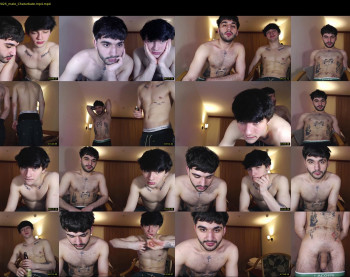 teddy_mode