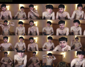 teddy_mode
