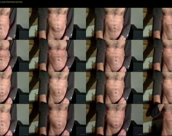 vince_dd
