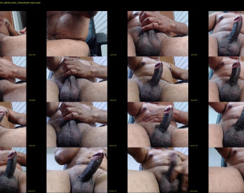 escorpion51