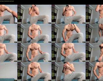 hot_bear_