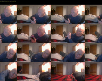 joefreedom826