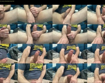 puslicker4