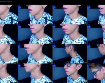 ash_v