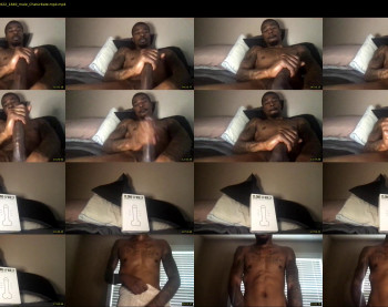 bbc_tonymontana