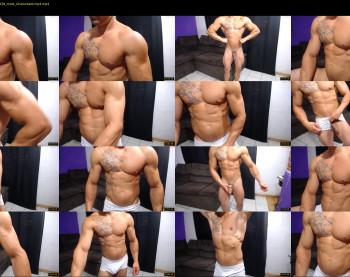 bestmuscle