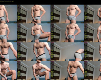 hot_bear_