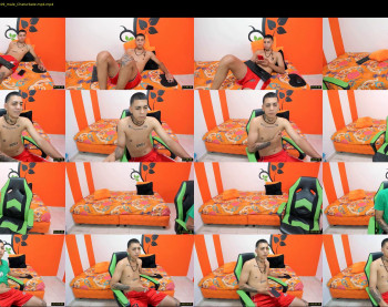 littus_wolf_