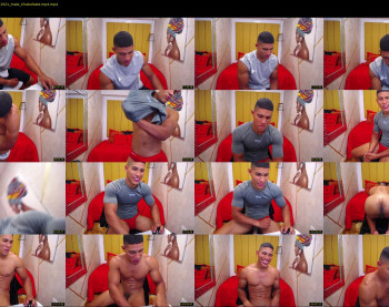 teddyfit19cm