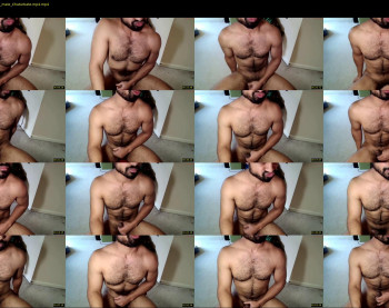 toyboyq