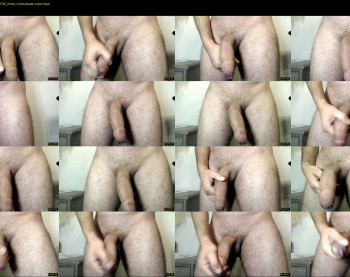 divercelli87