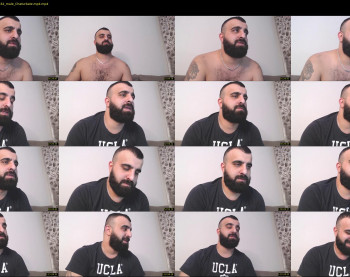 djefri_bear