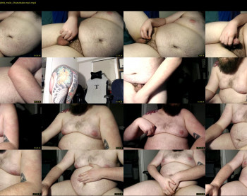 doctordikpig