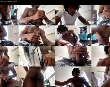 kingreesedavid