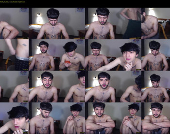teddy_mode