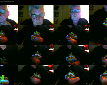 boefie54