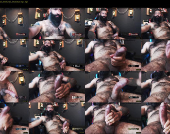 boris_the_animal
