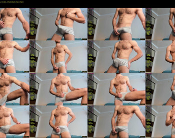 hot_bear_