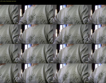 il_undercover