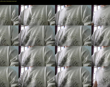 il_undercover