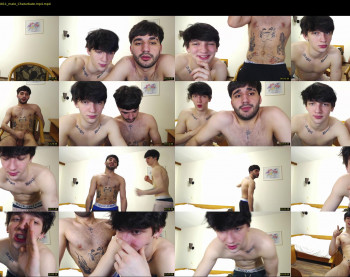 teddy_mode