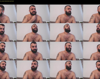 djefri_bear