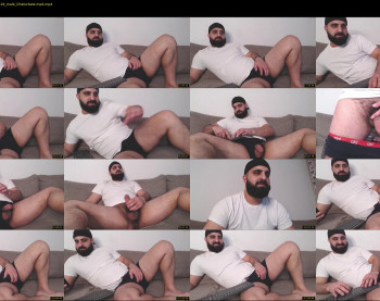 djefri_bear
