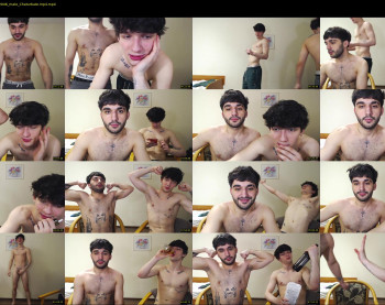 teddy_mode