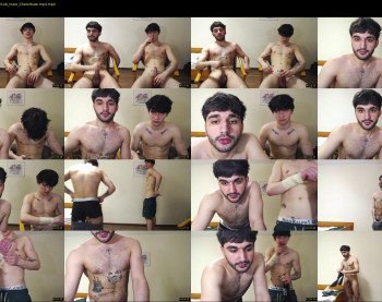 teddy_mode