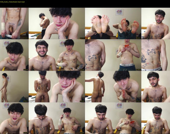 teddy_mode