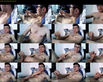 dantheman233