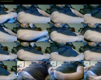 tdog8413