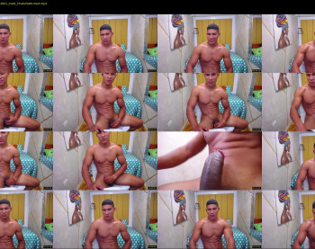 teddyfit19cm
