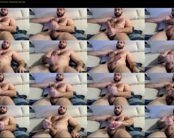 wolfdudefun