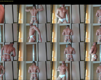 _adam19