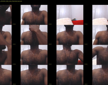 anacondaxxxexpress